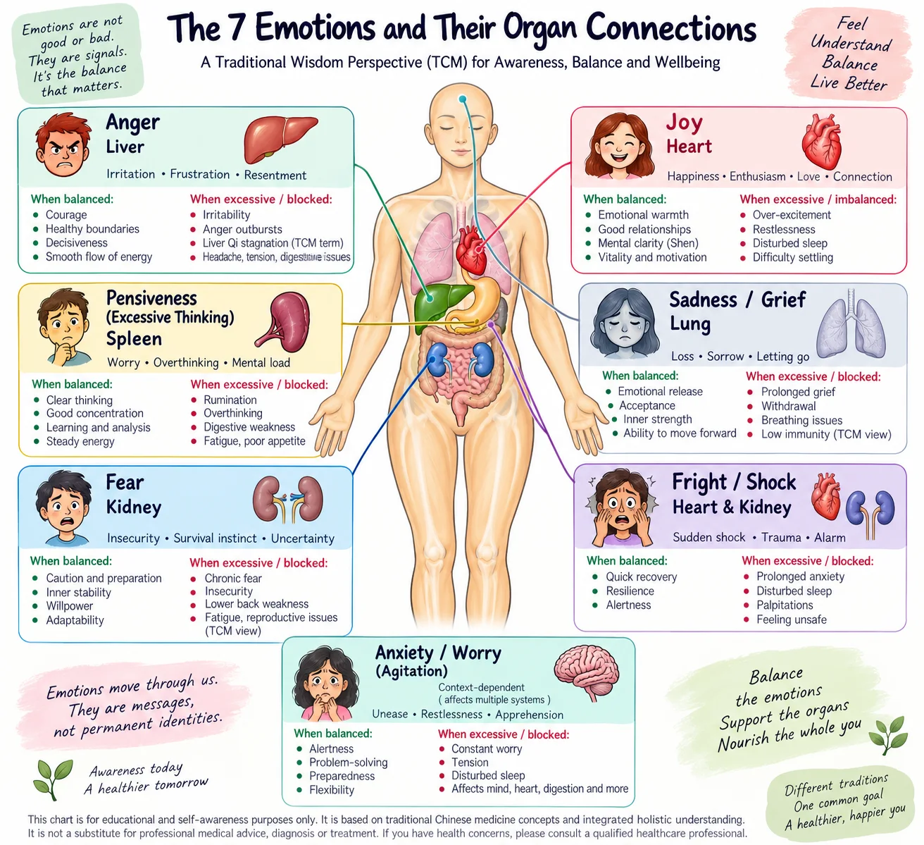 The seven emotions and their organ connections, a traditional Chinese medicine overview for awareness and balance