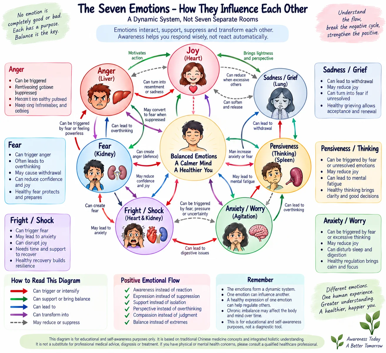 How the seven emotions influence each other, a dynamic system rather than seven separate rooms
